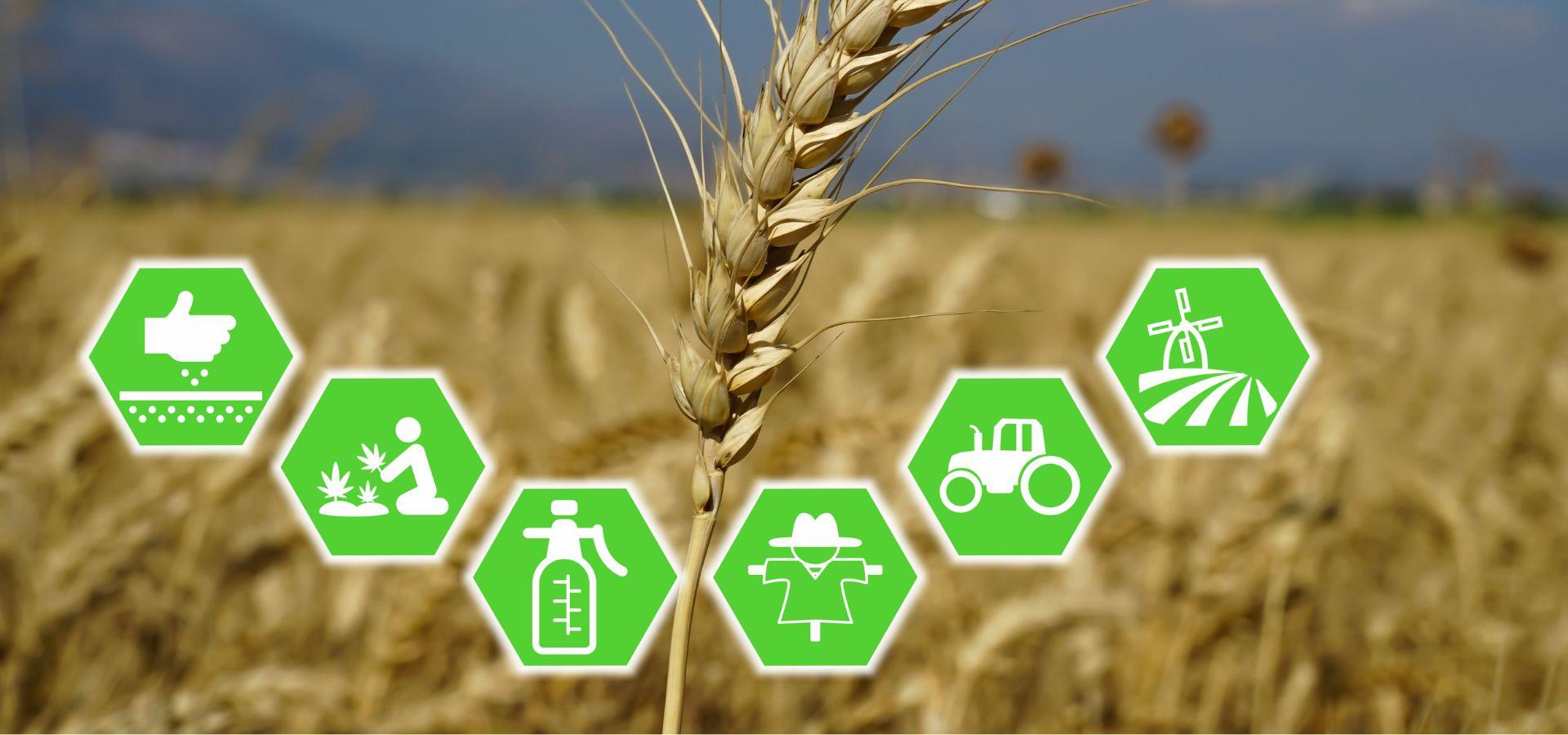 AL-SALAM International For Development & Agricultural Investment 