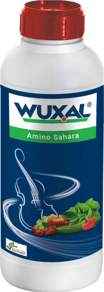 admin-ajax
