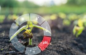 التربة و علاقتها بامراض النبات و كيف يمكننا التحكم بها او تنظيمها pH ما هي
