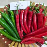 TOPPAZ– CHILI